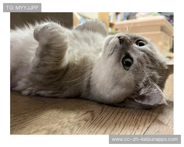 ¦-Ë¾¤½+¦¦¤iiú¦-°ËÐÍ¦¦¶¢Ò++ÃÚ¦½¦+